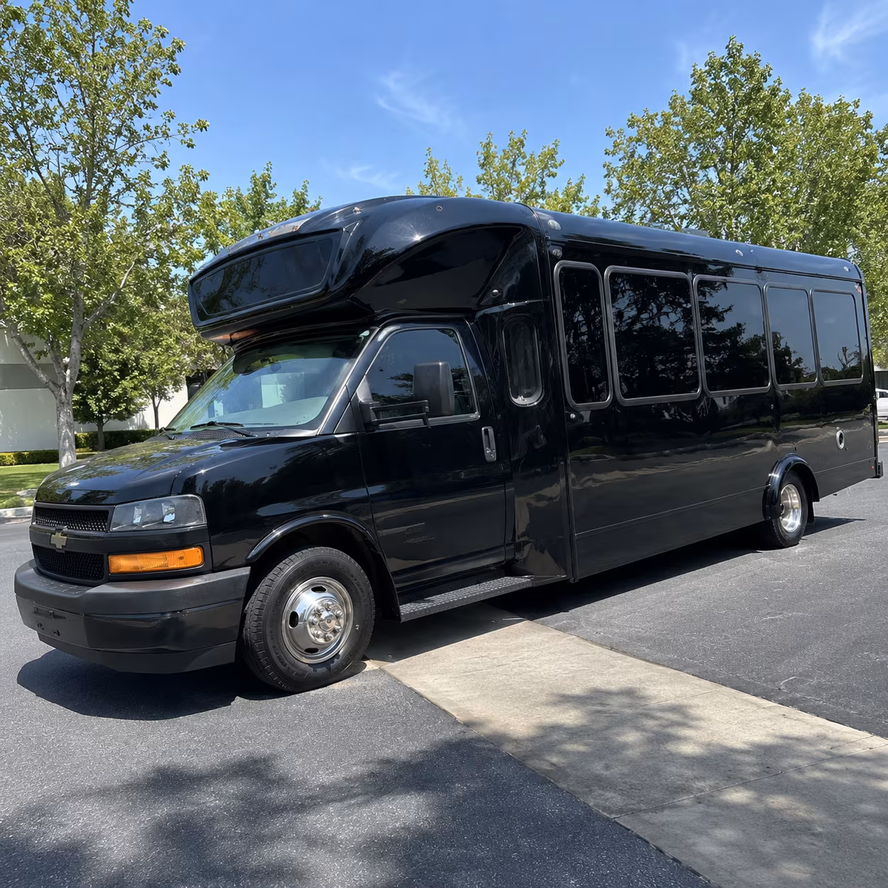 bellingham 15 passenger party bus