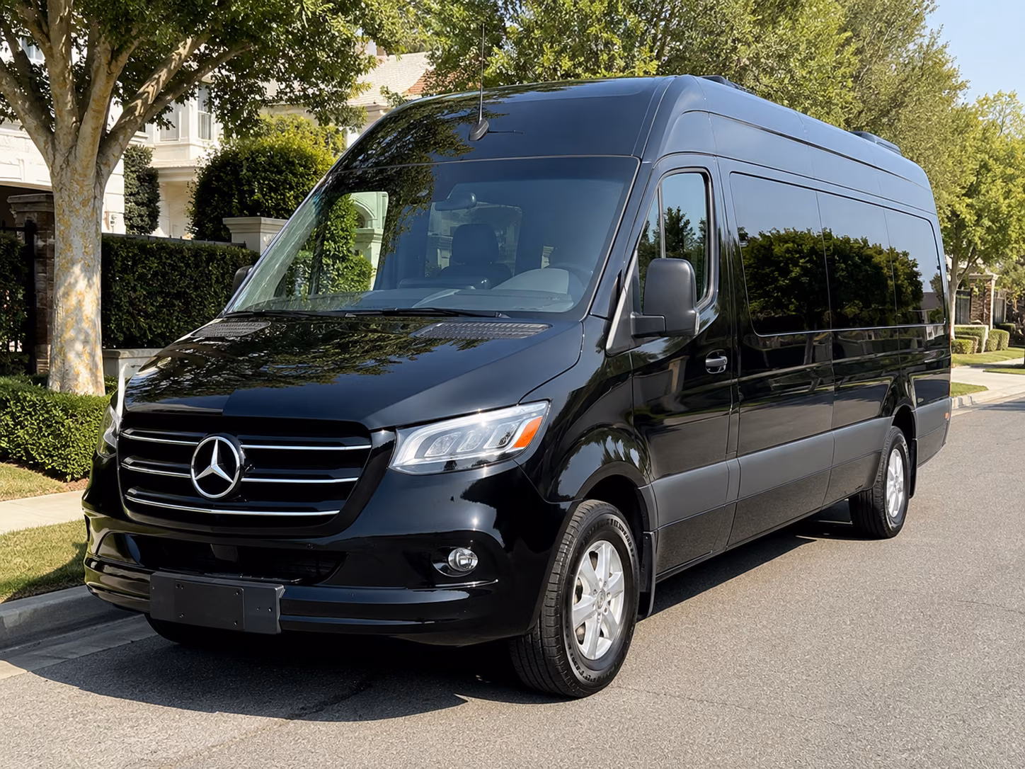 bellingham birthday party transportation onboard seating