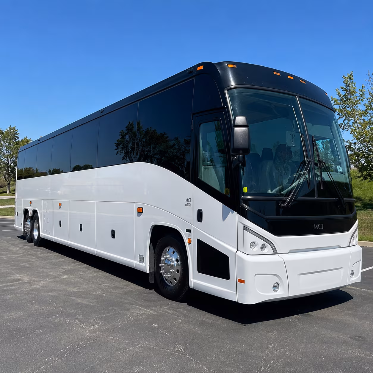 bellingham cruise terminal alaska charter bus rental